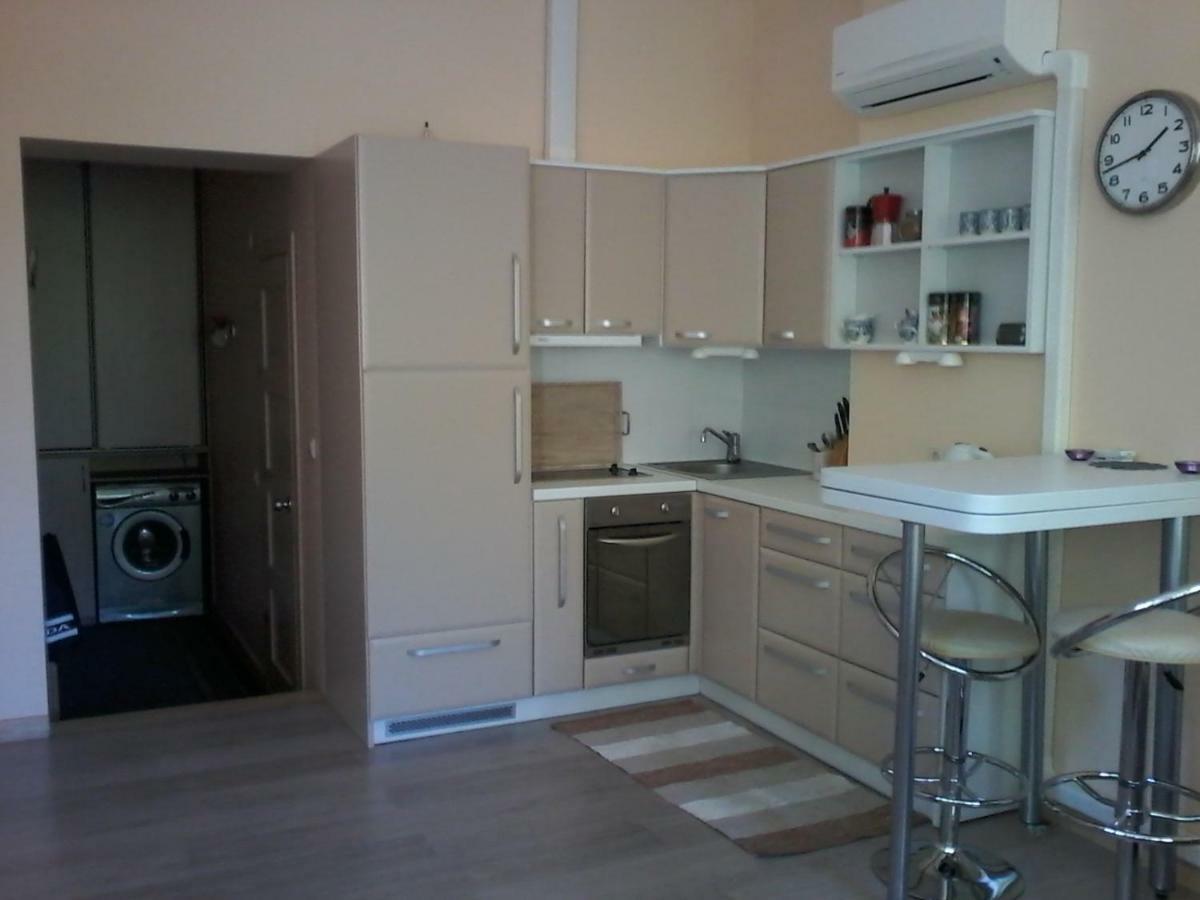 Gintaro Apartamentai 帕兰加 外观 照片